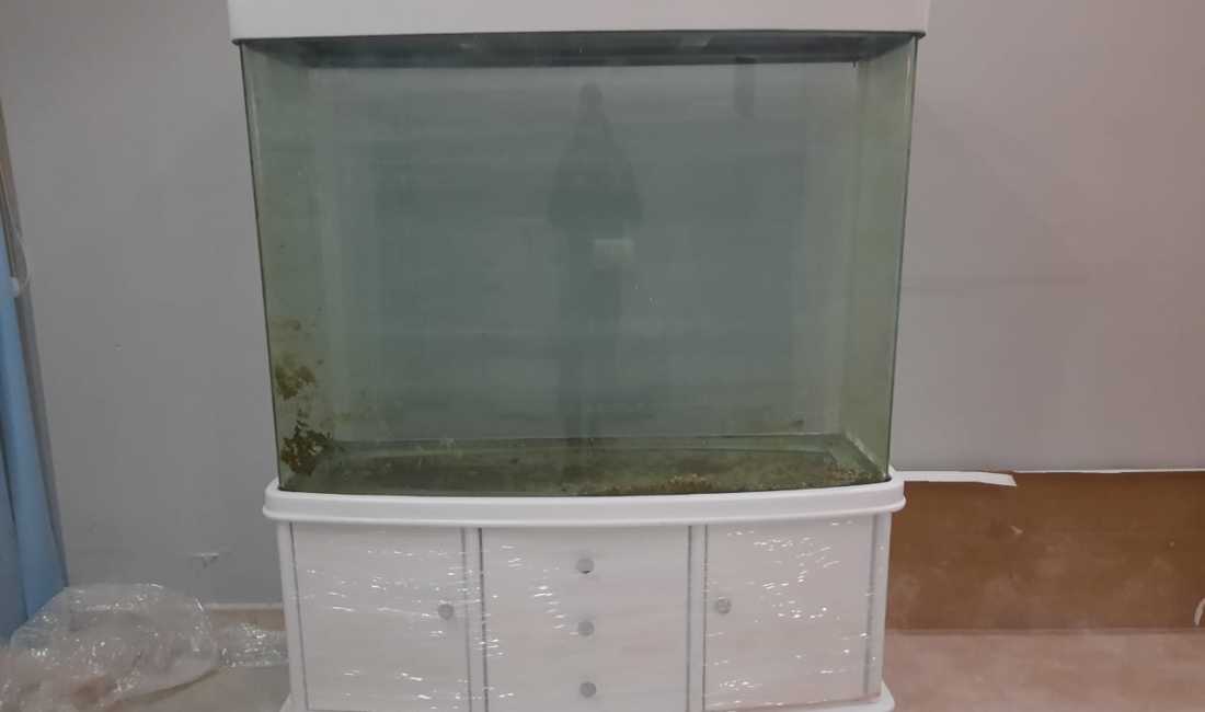 Foto 1