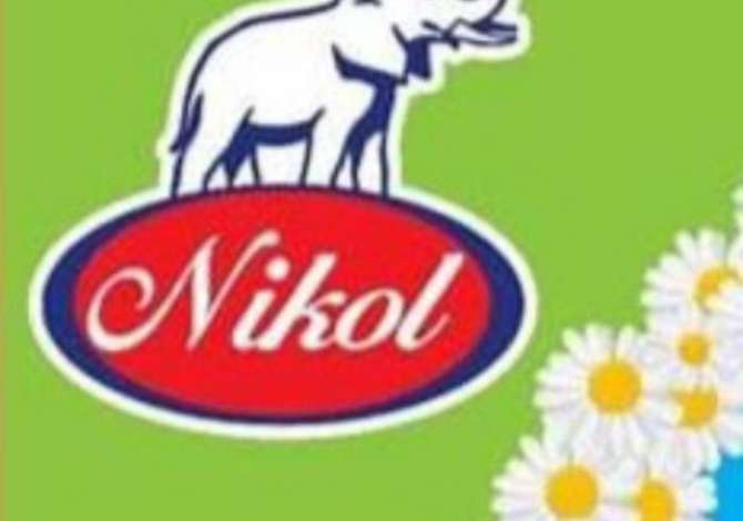 Njoftime Pune Agjent/menaxher shitje, mekanik