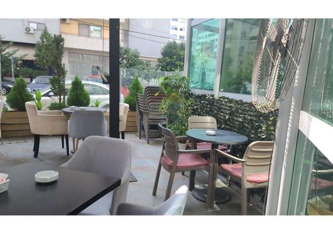 Ambient biznesi me qera 2+1 ne Tirane - 450 Euro