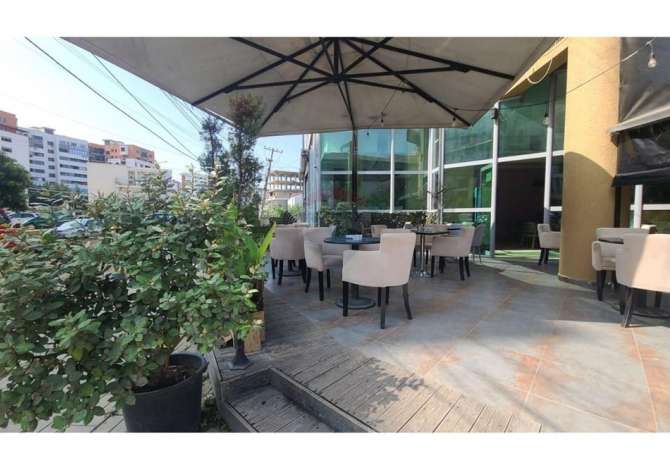 Ambient biznesi me qera 2+1 ne Tirane - 450 Euro