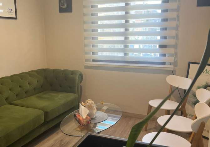Ambient biznesi me qera 3+1 ne Tirane - 800 Euro