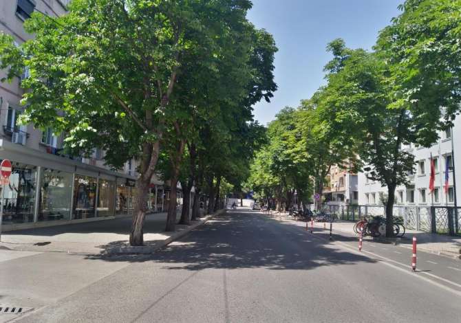 Ambient biznesi me qera 1+1 ne Tirane - 1,500 Euro