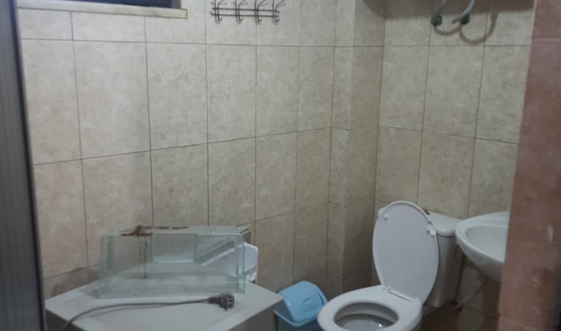 Foto 7