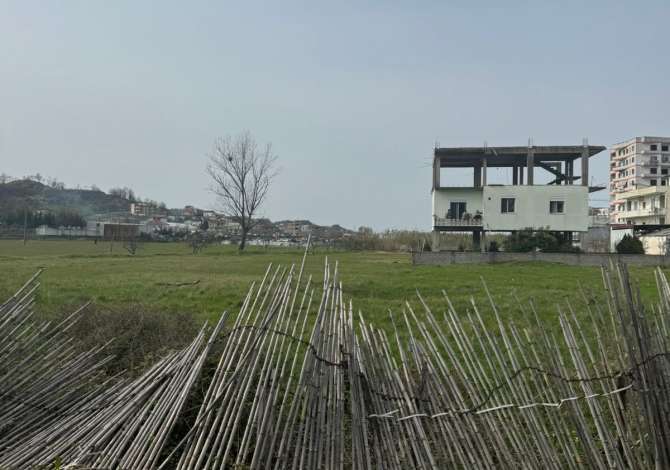 Truall ose Toke  ne Tirane - 1,000 Euro
