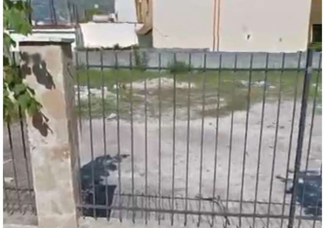 Truall ose Toke  ne Tirane - 130,000 Euro