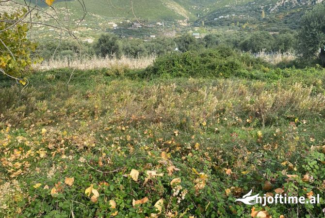 Truall ose Toke  ne Vlore - 216,000 Euro