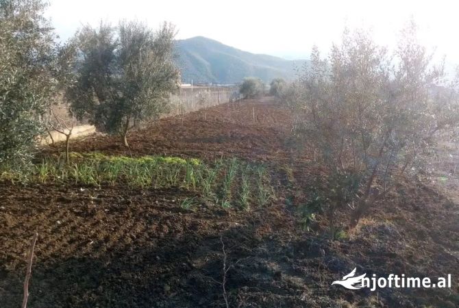 🔥Shiten Okazion Shtepia ne Uznove dhe Tokat ne Koder.