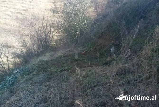 Truall ose Toke  ne Berat - 72,000 Euro