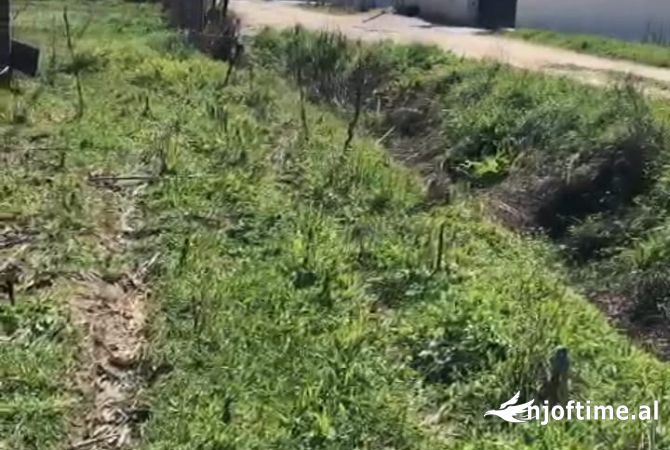 Truall ose Toke  ne Berat - 66,000 Euro