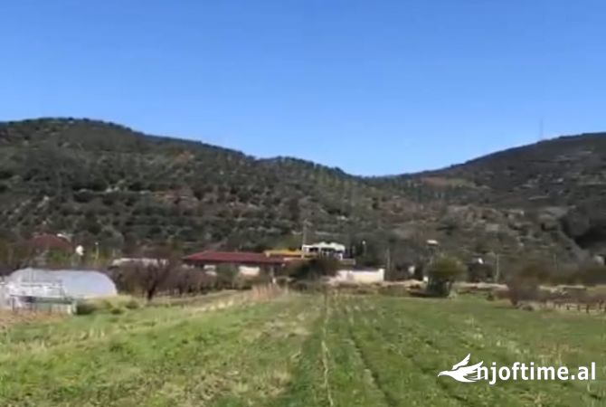 🔥 SHITET TOKE NE BERAT NE OLLTAK🔥 