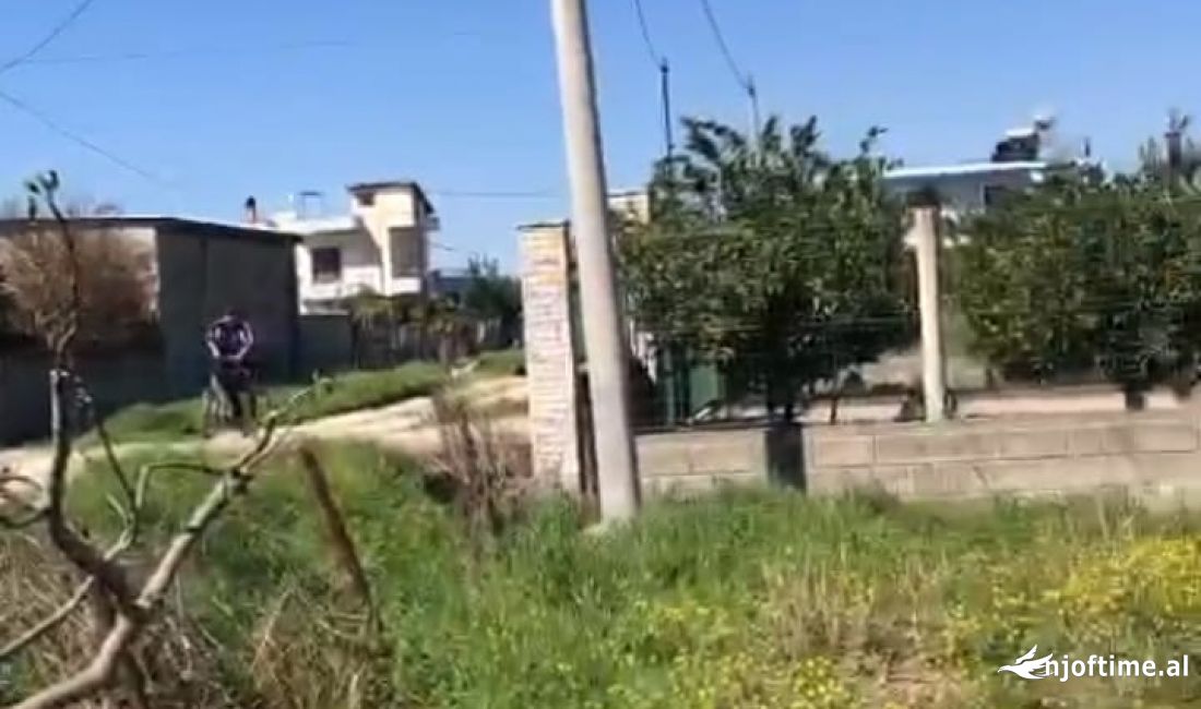 Foto 4
