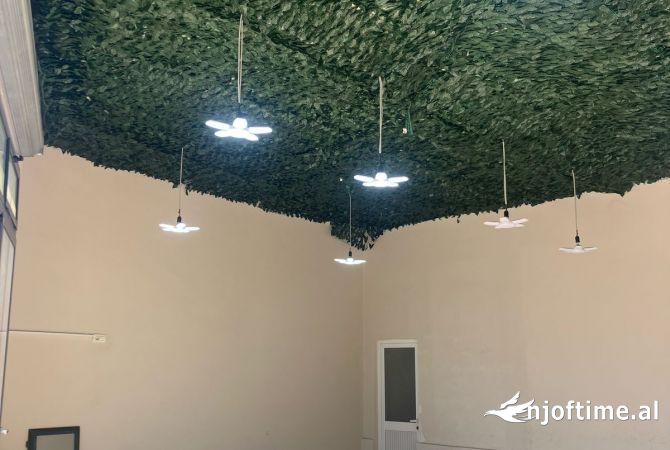 Ambient biznesi me qera 1+1 ne Tirane - 700 Euro