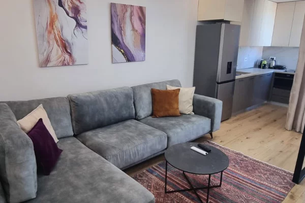 Shtepi me qera 2+1 ne Tirane - 2,000 Euro