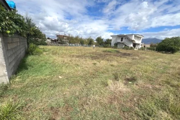 Truall ose Toke ne Tirane - 80,000 Euro