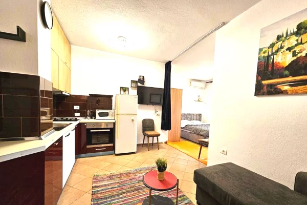 Shtepi me qera 1+1 ne Tirane - 400 Euro