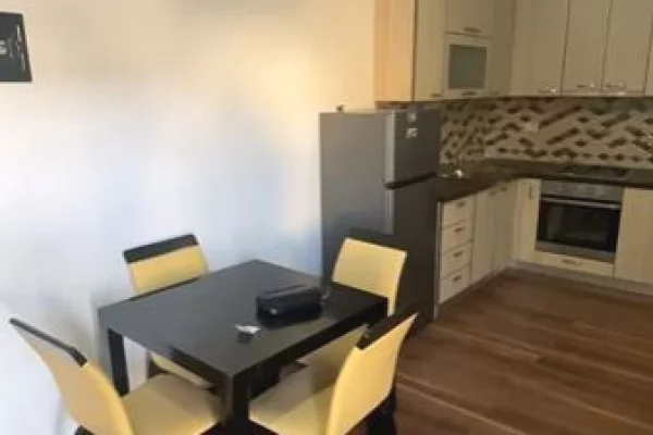 Shtepi me qera 1+1 ne Tirane - 45,000 Leke