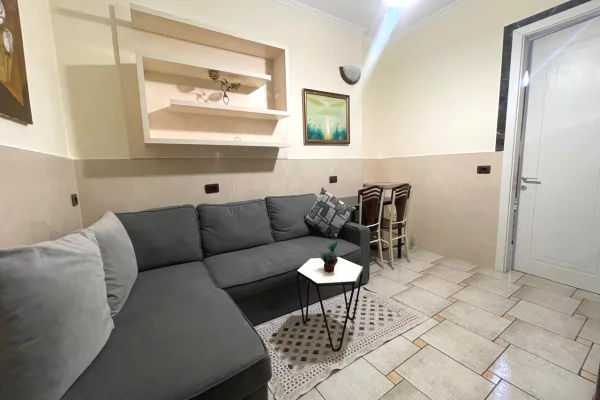 Shtepi me qera 1+1 ne Tirane - 420 Euro