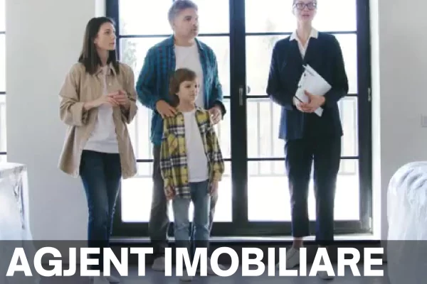 Job Offers for it consultant in Tirana