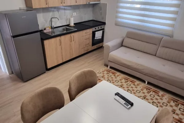 Shtepi me qera Apartament ne Tirane, 1+1, Mobilimi E mobiluar, Pagesa 450  Euro.