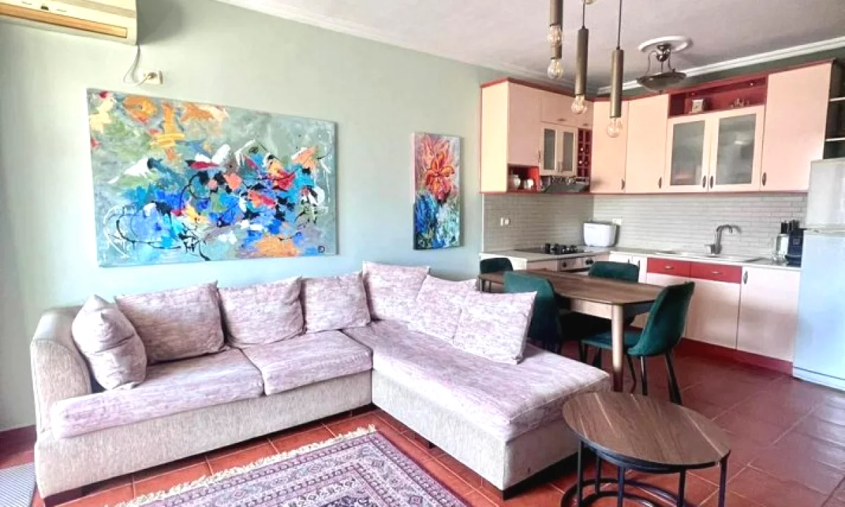 Shtepi me qera Apartament ne Tirane, 1+1, Mobilimi E mobiluar, Pagesa 450  Euro.