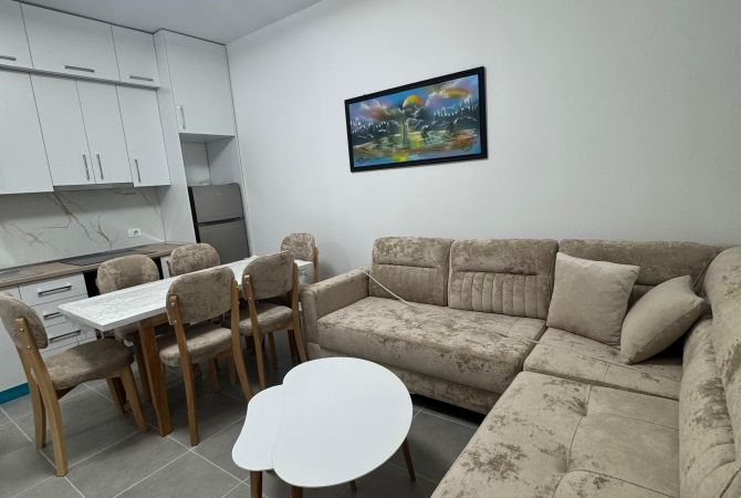 Shtepi me qera 1+1 ne Tirane - 400 Euro