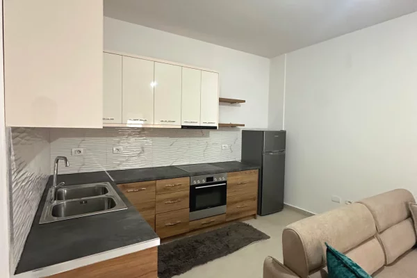 Private house for rent in Tirana 1+1, Furnished