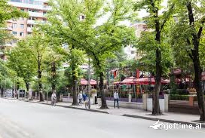 Ambient biznesi me qera 3+1 ne Tirane - 7,000 Euro