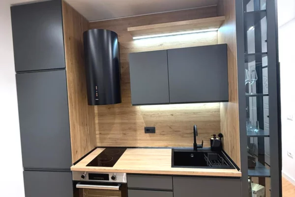 Shtepi me qera Apartament ne Tirane, 1+1, Mobilimi E mobiluar, Pagesa 1,000  Euro.