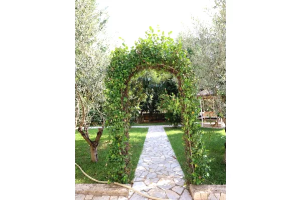 Shtepi ne shitje 3+1 ne Tirane - 300,000 Euro