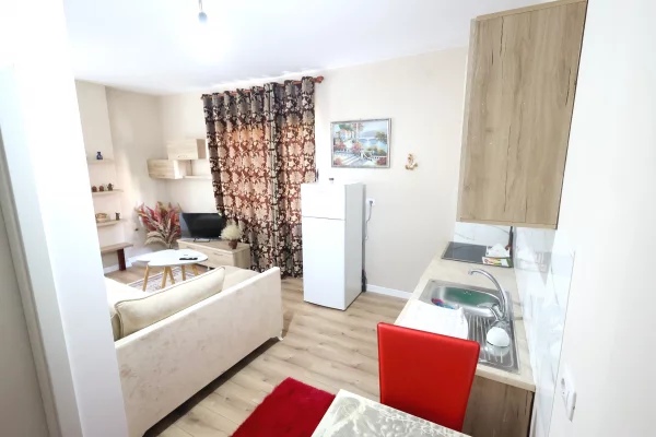 Shtepi me qera Apartament ne Tirane, 1+1, Mobilimi E mobiluar, Pagesa 350  Euro.