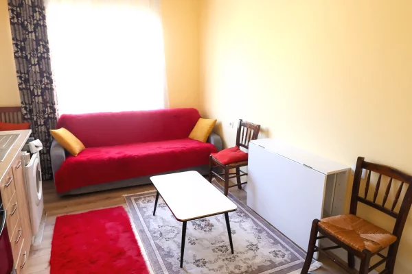 Shtepi me qera Apartament ne Tirane, 1+1, Mobilimi E mobiluar, Pagesa 300  Euro.