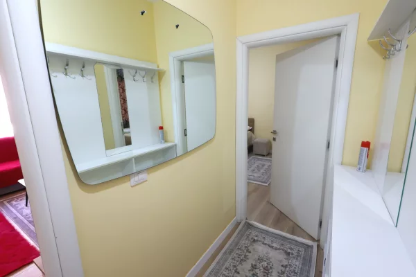 Shtepi me qera Apartament ne Tirane, 1+1, Mobilimi E mobiluar, Pagesa 300  Euro.