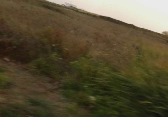 Truall ose Toke ne Durres - 549,000 Euro