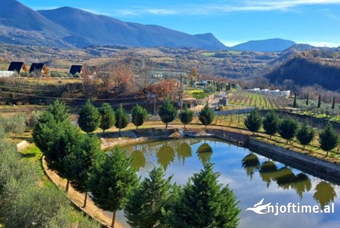 Qera, Hotel 4 kateshe, Mullet, Tirane. AREA42235