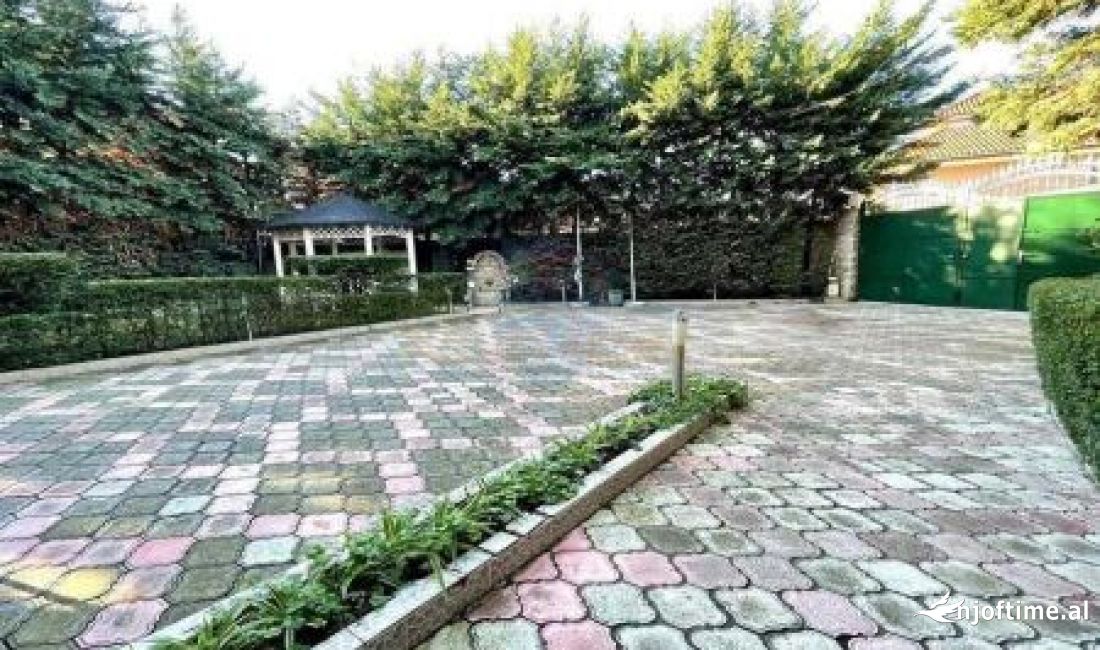 Foto 9