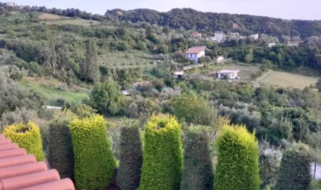 Foto 11