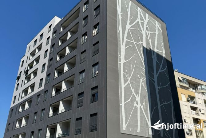 Shtepi me qera Apartament ne Tirane, 1+1, Mobilimi Bosh, pa mobiluar, Pagesa 45,000  Leke.