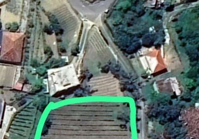 Shitet Toke ne Mullet,super okazion!!!