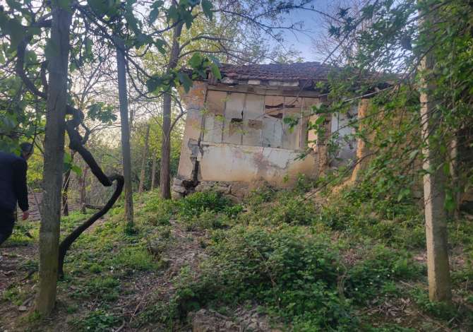 Truall ose Toke ne Tirane - 100,000 Euro