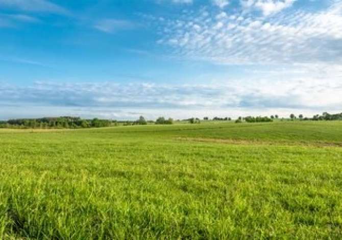 Truall ose Toke ne Tirane - 648,000 Euro