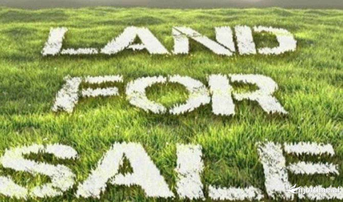 💥TOKE PER SHITJE NE MEZEZ