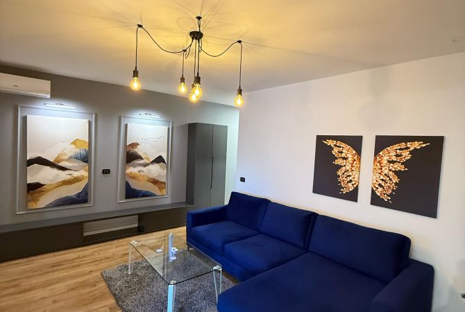 Shtepi me qera Apartament ne Tirane, 1+1, Mobilimi E mobiluar, Pagesa 700  Euro.