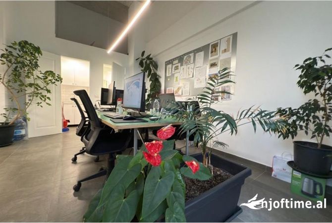Ambient biznesi me qera 3+1 ne Tirane - 600 Euro