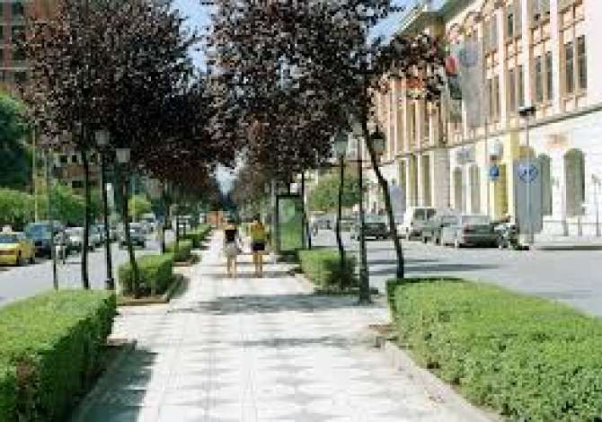 Ambient biznesi me qera 3+1 ne Tirane - 6,500 Euro