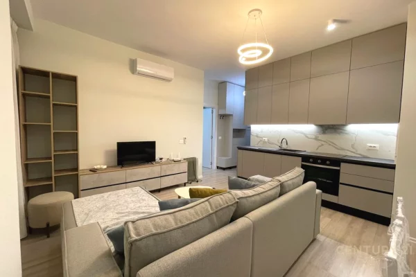 Shtepi me qera Apartament ne Tirane, 1+1, Mobilimi E mobiluar, Pagesa 700  Euro.