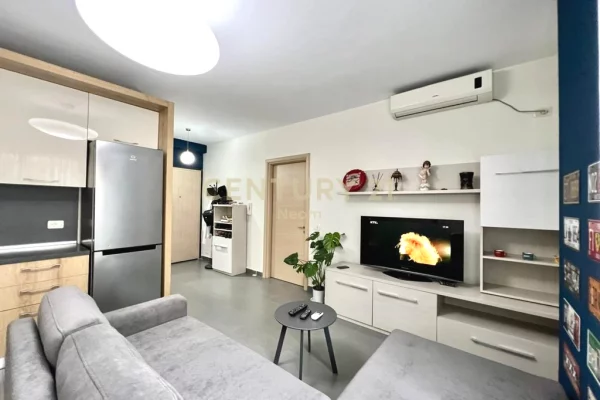 Apartment for rent in Tirana 1+1, Furnished