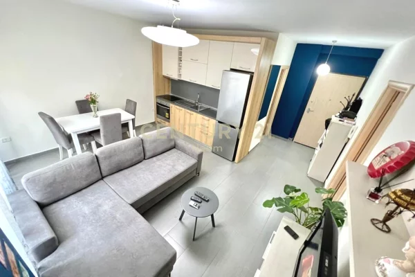 Apartment for rent in Tirana 1+1, Furnished