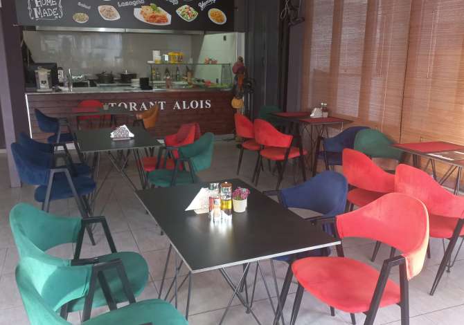 Ambient biznesi me qera 2+1 ne Tirane - 600 Euro