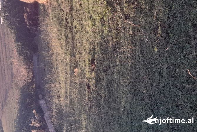 Terreno in vendita  a Tirana - 27,000 Euro