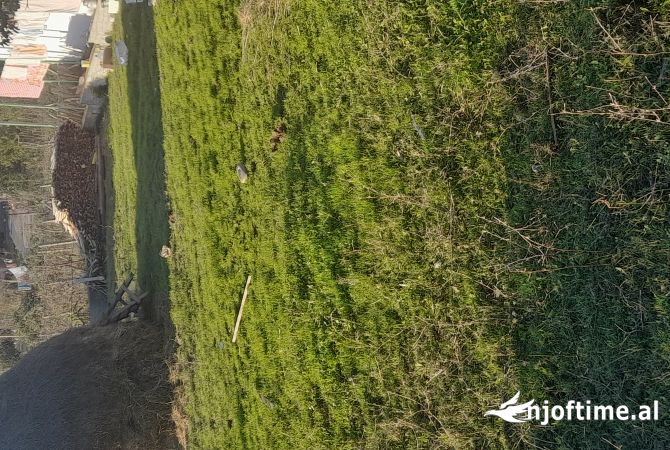 Terreno in vendita  a Tirana - 27,000 Euro